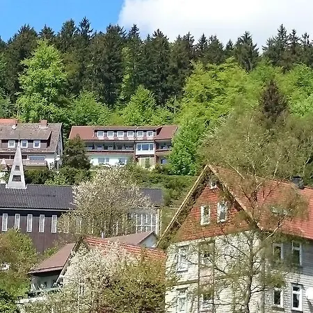Talblick Bad Grund