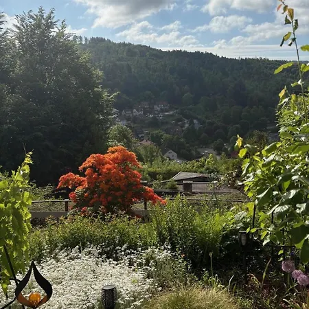 Gasthuis Talblick Bad Grund