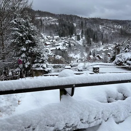 Talblick Pensjonat Bad Grund