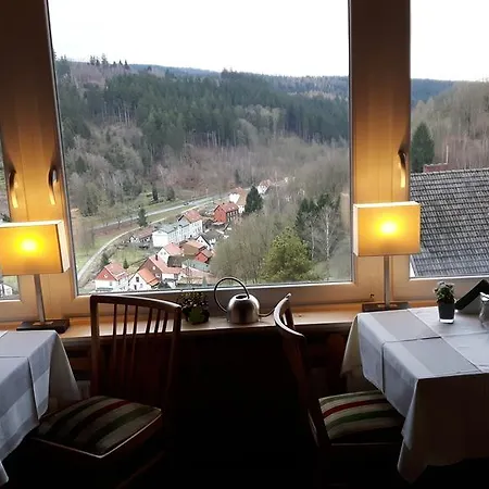 Talblick Bad Grund