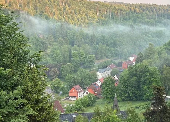 Talblick Bad Grund