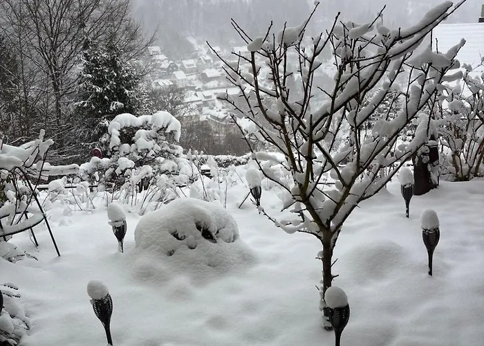 Affittacamere Talblick 3*
